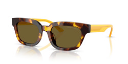 Gafas de sol Emporio Armani EA4233U 618173