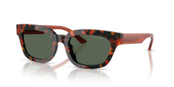 Gafas de sol Emporio Armani EA4233U 618271