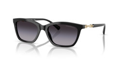 Gafas de sol Emporio Armani EA4238 50178G