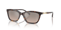 Gafas de sol Emporio Armani EA4238 50266I