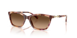 Gafas de sol Emporio Armani EA4238 619674