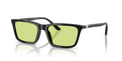 Gafas de sol Emporio Armani EA4239U 5017/2