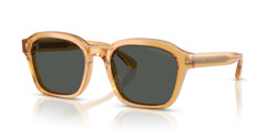 Gafas de sol Emporio Armani EA4245U 624687