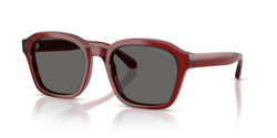 Gafas de sol Emporio Armani EA4245U 624887