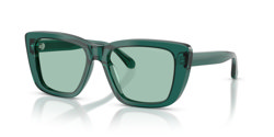 Gafas de sol Emporio Armani EA4246U 6252/2