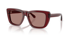 Gafas de sol Emporio Armani EA4246U 625473
