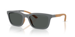 Gafas de sol Emporio Armani EA4249U 626187