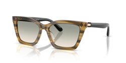 Gafas de sol Emporio Armani EA4250U 62672C