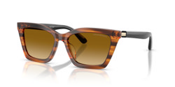 Gafas de sol Emporio Armani EA4250U 62682L