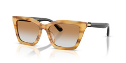 Gafas de sol Emporio Armani EA4250U 62692Q