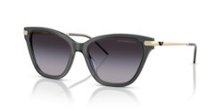Gafas de sol Emporio Armani EA4251 62628G