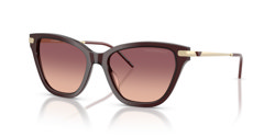 Gafas de sol Emporio Armani EA4251 62658D
