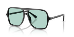 Gafas de sol Emporio Armani EA4252U 501765
