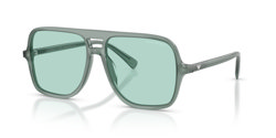 Gafas de sol Emporio Armani EA4252U 627065