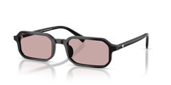 Gafas de sol Emporio Armani EA4253U 501773
