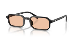 Gafas de sol Emporio Armani EA4253U 501793