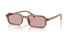 Gafas de sol Emporio Armani EA4253U 627173