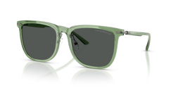 Gafas de sol Emporio Armani EA4255D 536287