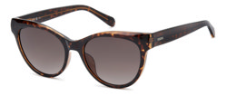 Gafas de Sol Fossil FOS 3172/S 086