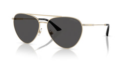 Gafas de sol Jimmy Choo JC4002B 301787