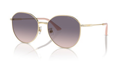 Gafas de sol Jimmy Choo JC4007BD 300636