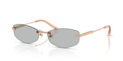 Gafas de sol Jimmy Choo  JC4013D 300887