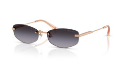 Gafas de sol Jimmy Choo  JC4013D 30088G