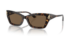 Gafas de sol Jimmy Choo  JC5011U 500273