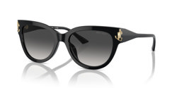 Gafas de sol Jimmy Choo  JC5018U 50008G