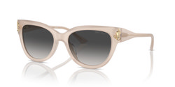 Gafas de sol Jimmy Choo  JC5018U 50258G