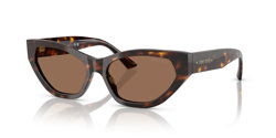 Gafas de sol Jimmy Choo  JC5022B 500273