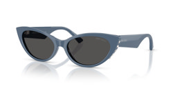 Gafas de sol Jimmy Choo JC5023H 502087
