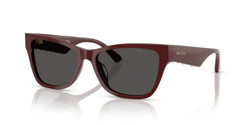 Gafas de sol Jimmy Choo JC5024HU 505787