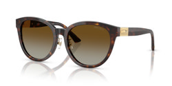 Gafas de sol Jimmy Choo JC5032D 5002T5