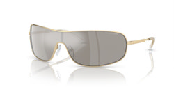 Gafas de sol Michael Kors Aix MK1139 10146G