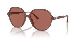 Gafas de sol Michael Kors Bali MK2186U 35481L