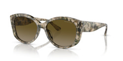 Gafas de sol Michael Kors Charleston MK2175U 392213