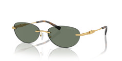 Gafas de sol Michael Kors Manchester MK1151 18963H