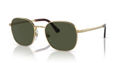 Gafas de sol Persol PO1009S 515/31