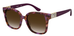 Gafas de Sol Pierre Cardin P.C. 8537/S AY0
