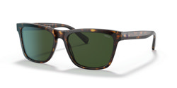 Gafas de sol Polo PH4167 500371