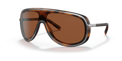 Gafas de sol Ralph Lauren RL7069 942373