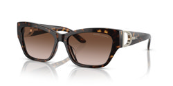 Gafas de sol Ralph Lauren The audrey RL8206U 500313