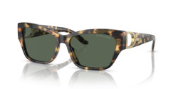 Gafas de sol Ralph Lauren The audrey RL8206U 500471