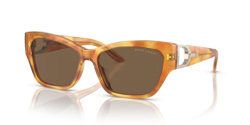 Gafas de sol Ralph Lauren The audrey RL8206U 605173