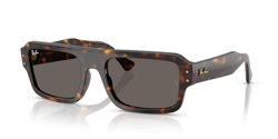 Gafas de sol Ray Ban Flacko RB4454 1359B1