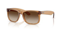 Gafas de sol Ray Ban Justin RB4165 681413