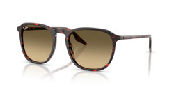 Gafas de sol Ray Ban RB2203 14290A