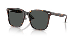 Gafas de sol Ray Ban  RB2206D 710/87