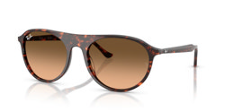 Gafas de sol Ray Ban  RB2215 14293B
